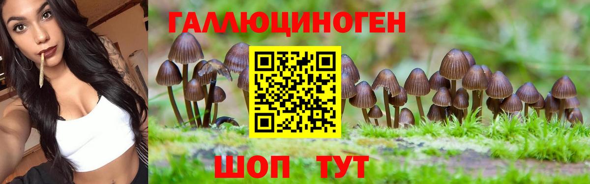 Псилоцибиновые грибы MAGIC MUSHROOMS  Вход с VPN  Отрадное 
